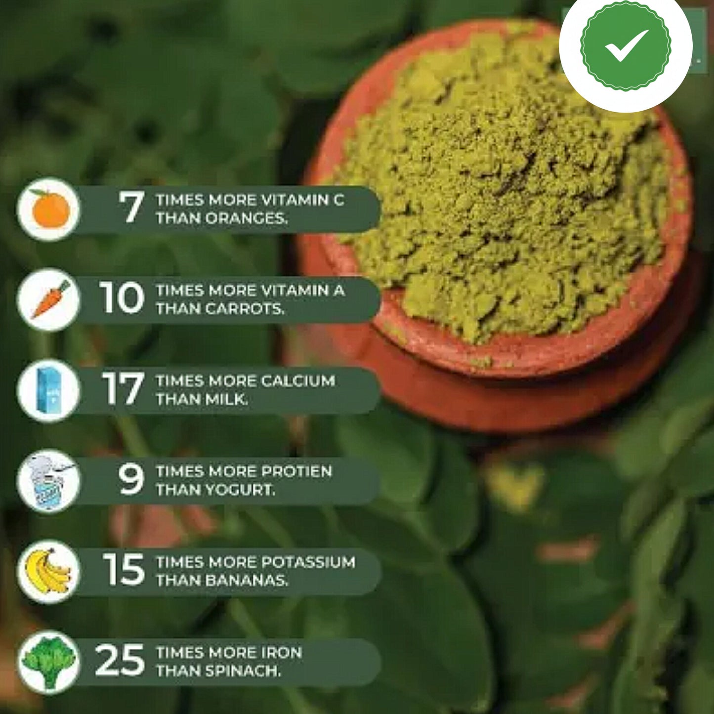 Organic Moringa Powder - Premium Superfood for Energy & Immunity Boost